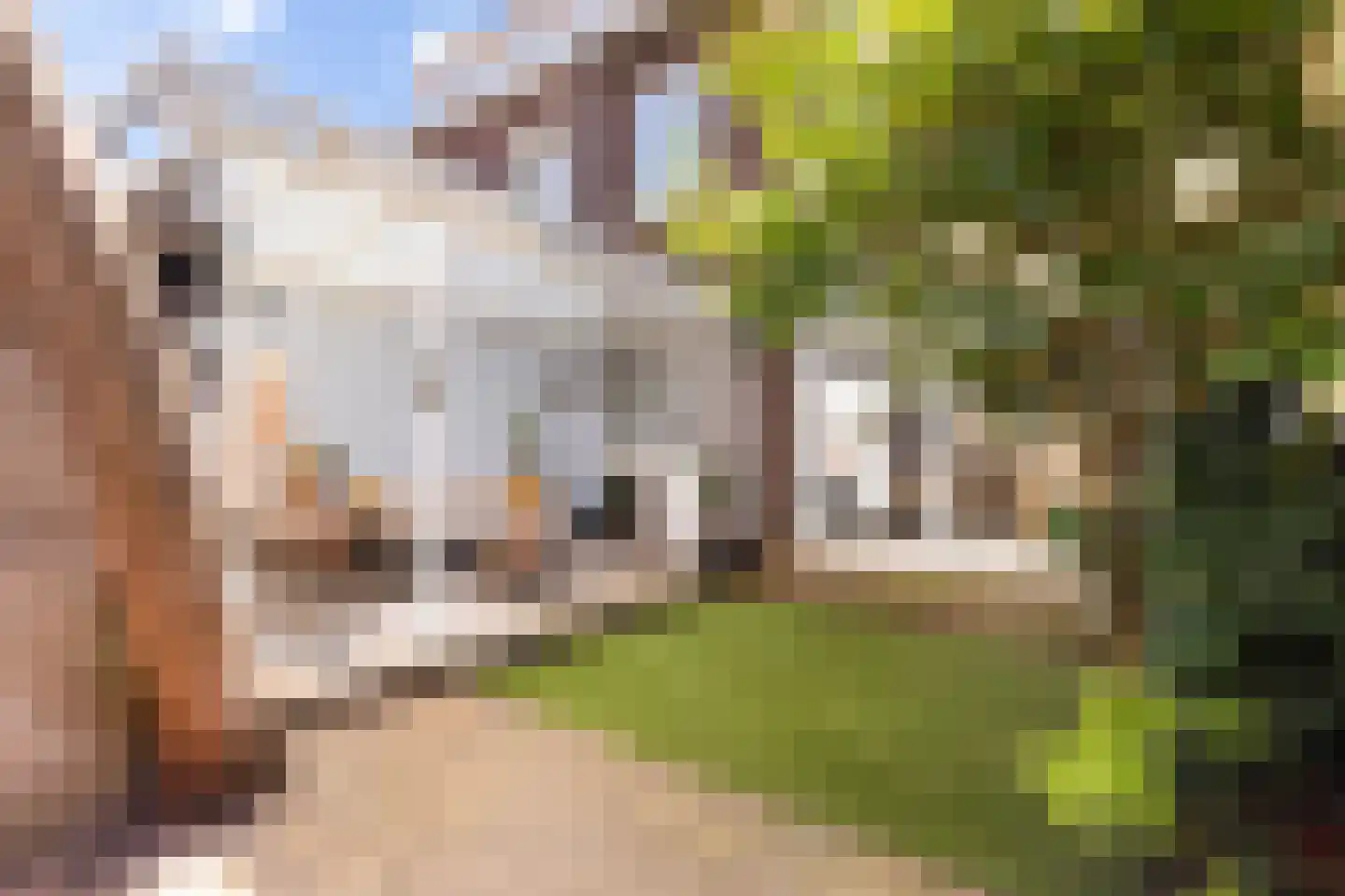 Bosboom-Toussaintstraat 49 Dordrecht thumbnail 43