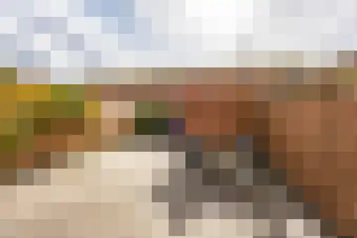 Bosboom-Toussaintstraat 79 Groningen thumbnail 13