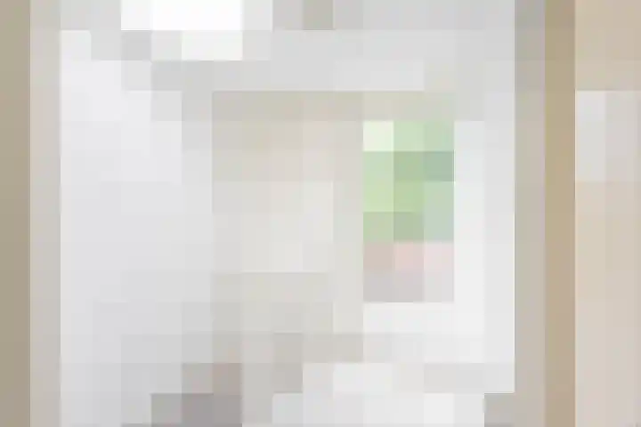Bosboom-Toussaintstraat 79 Groningen thumbnail 30