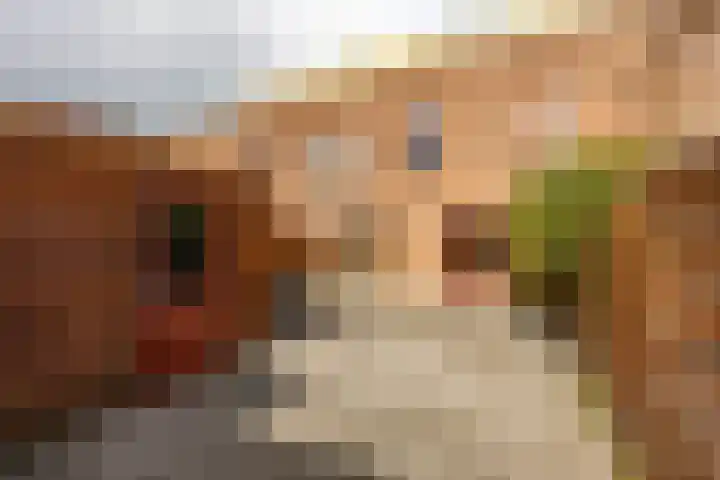 Bosboom-Toussaintstraat 79 Groningen thumbnail 4