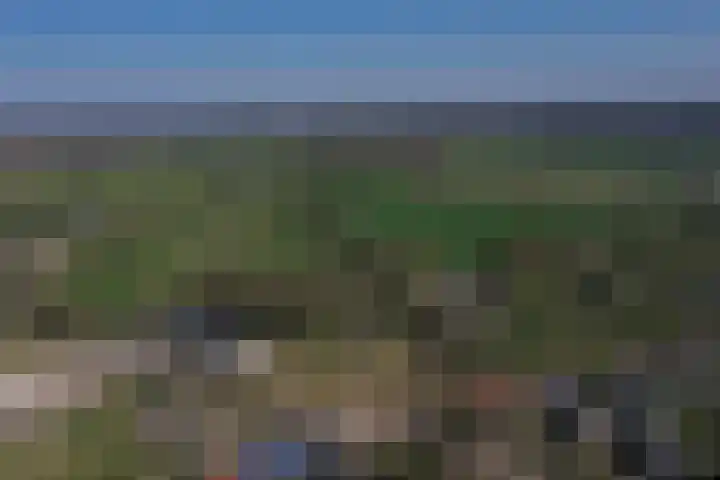 Bosboombroekerweg 20 A Heelweg thumbnail 10