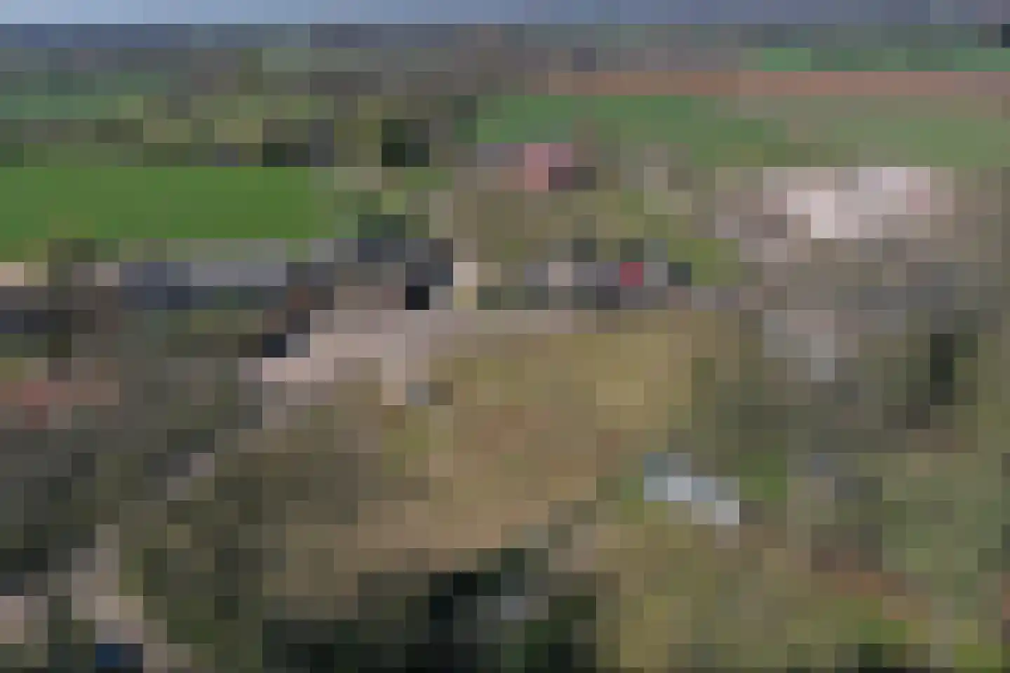 Bosboombroekerweg 20 C Heelweg thumbnail 5