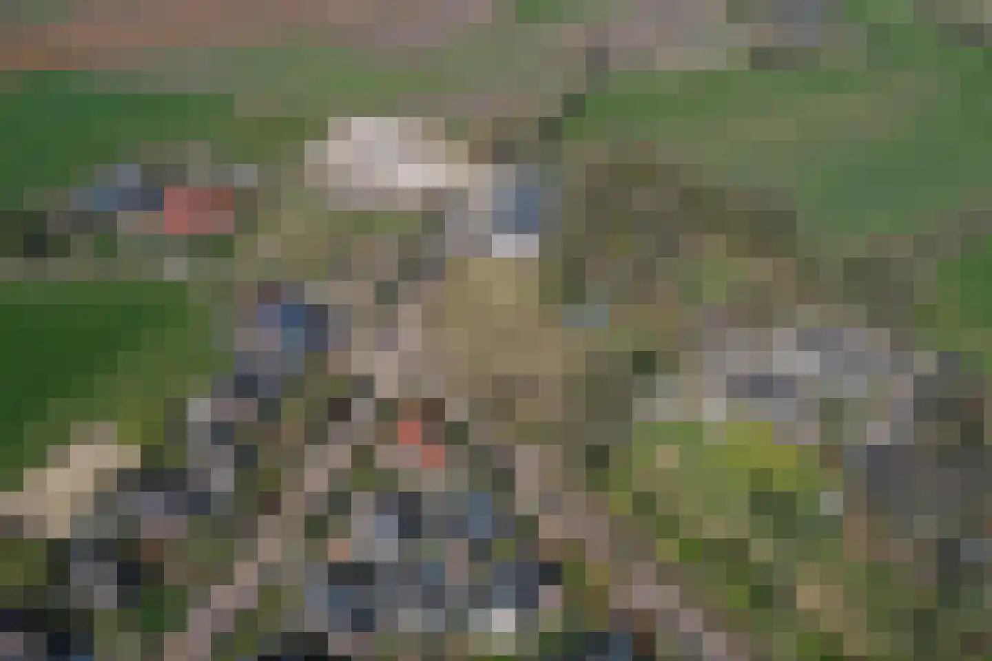 Bosboombroekerweg 20 C Heelweg thumbnail 7