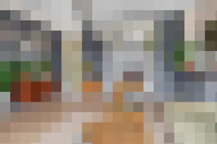 Bosboomlaan 14 B Schiedam thumbnail 10