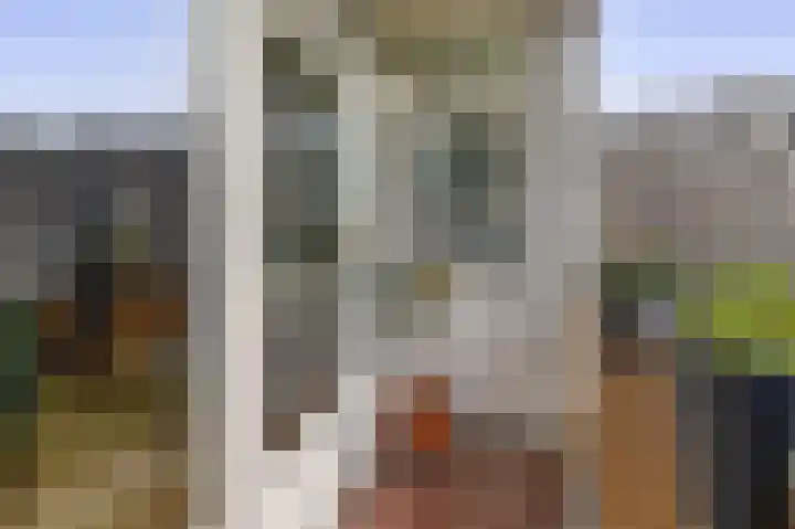 Bosboomlaan 14 B Schiedam thumbnail 16
