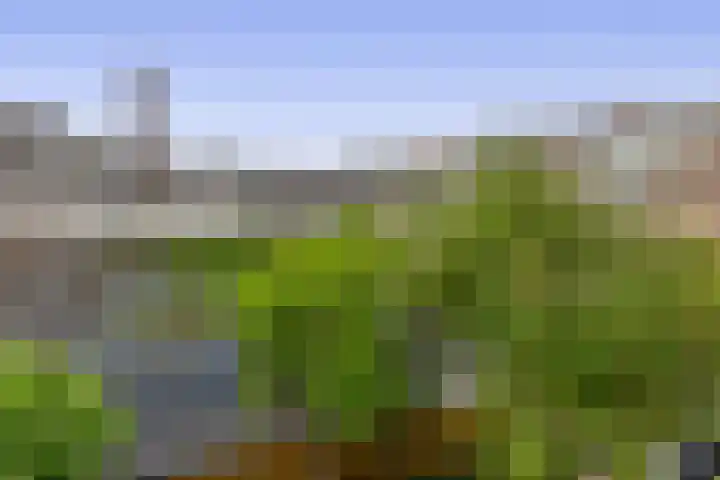 Bosboomlaan 14 B Schiedam thumbnail 17