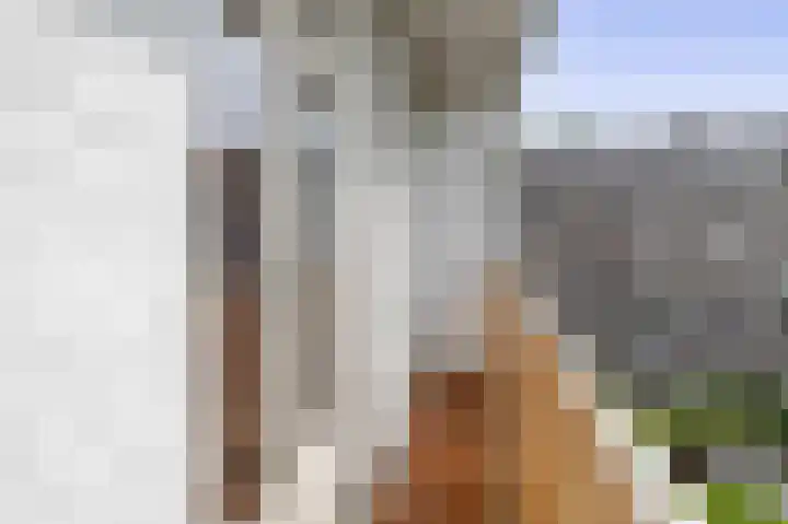 Bosboomlaan 14 B Schiedam thumbnail 23