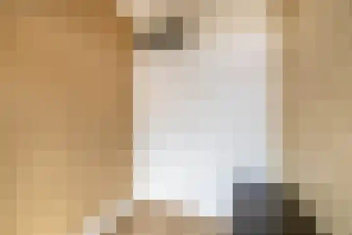 Bosboomlaan 14 B Schiedam thumbnail 25
