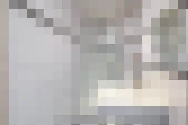 Bosboomlaan 14 B Schiedam thumbnail 26