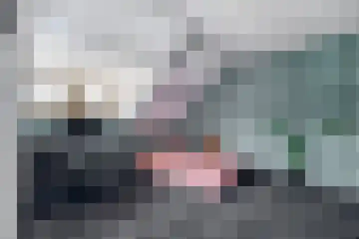Bosboomlaan 14 B Schiedam thumbnail 30