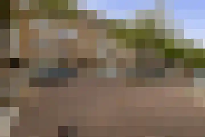 Bosboomlaan 14 B Schiedam thumbnail 31