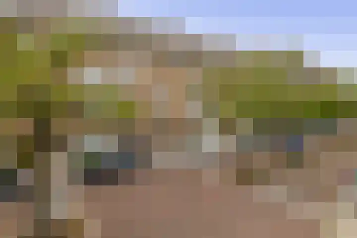 Bosboomlaan 14 B Schiedam thumbnail 32