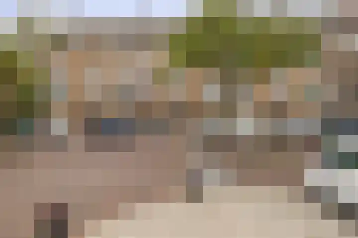 Bosboomlaan 14 B Schiedam thumbnail 33