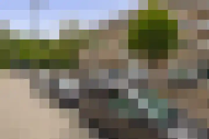 Bosboomlaan 14 B Schiedam thumbnail 34