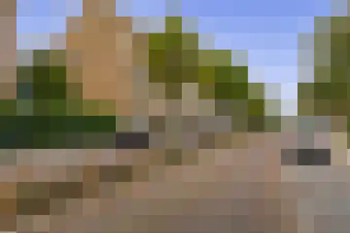 Bosboomlaan 14 B Schiedam thumbnail 35