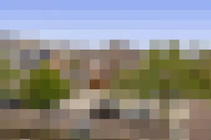 Bosboomlaan 14 B Schiedam thumbnail 36