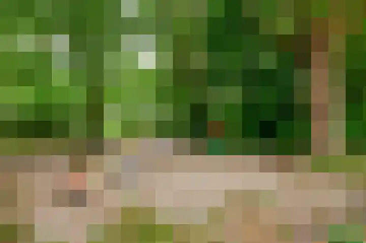 Bosboomlaan 14 B Schiedam thumbnail 37