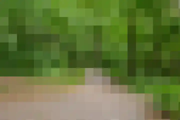 Bosboomlaan 14 B Schiedam thumbnail 38