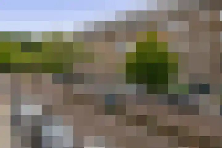 Bosboomlaan 14 B Schiedam thumbnail 4