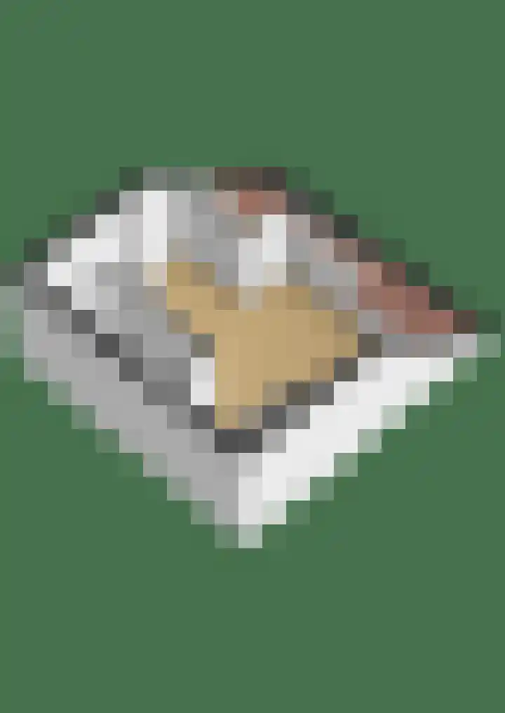 Bosboomlaan 14 B Schiedam thumbnail 46