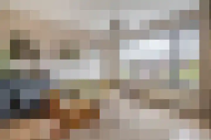 Bosboomlaan 14 B Schiedam thumbnail 8
