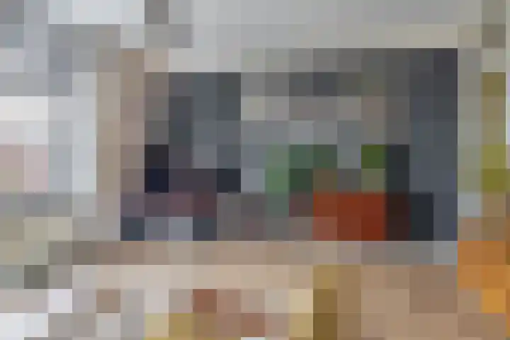 Bosboomlaan 14 B Schiedam thumbnail 9