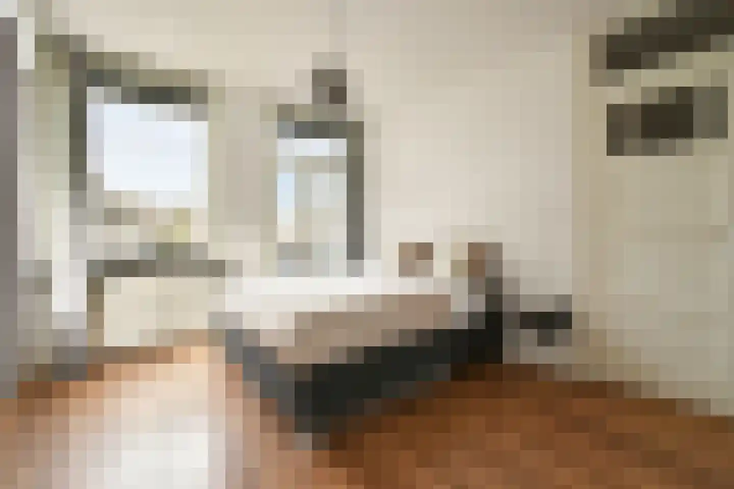 Bosboomlaan 20 A Schiedam thumbnail 13