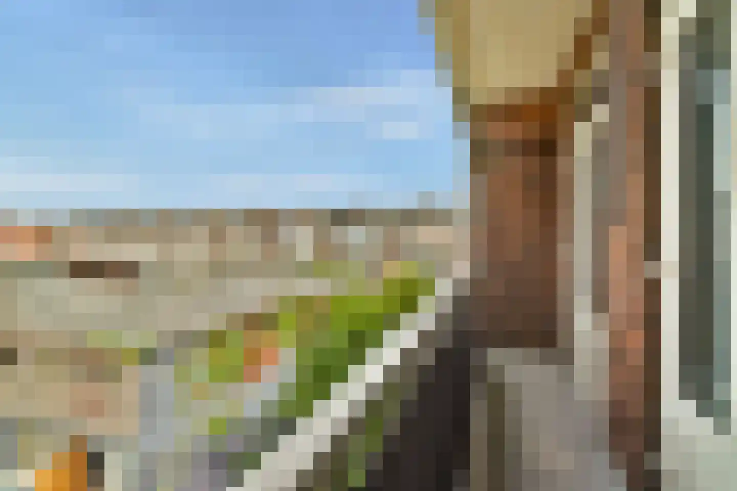 Bosboomlaan 20 A Schiedam thumbnail 15
