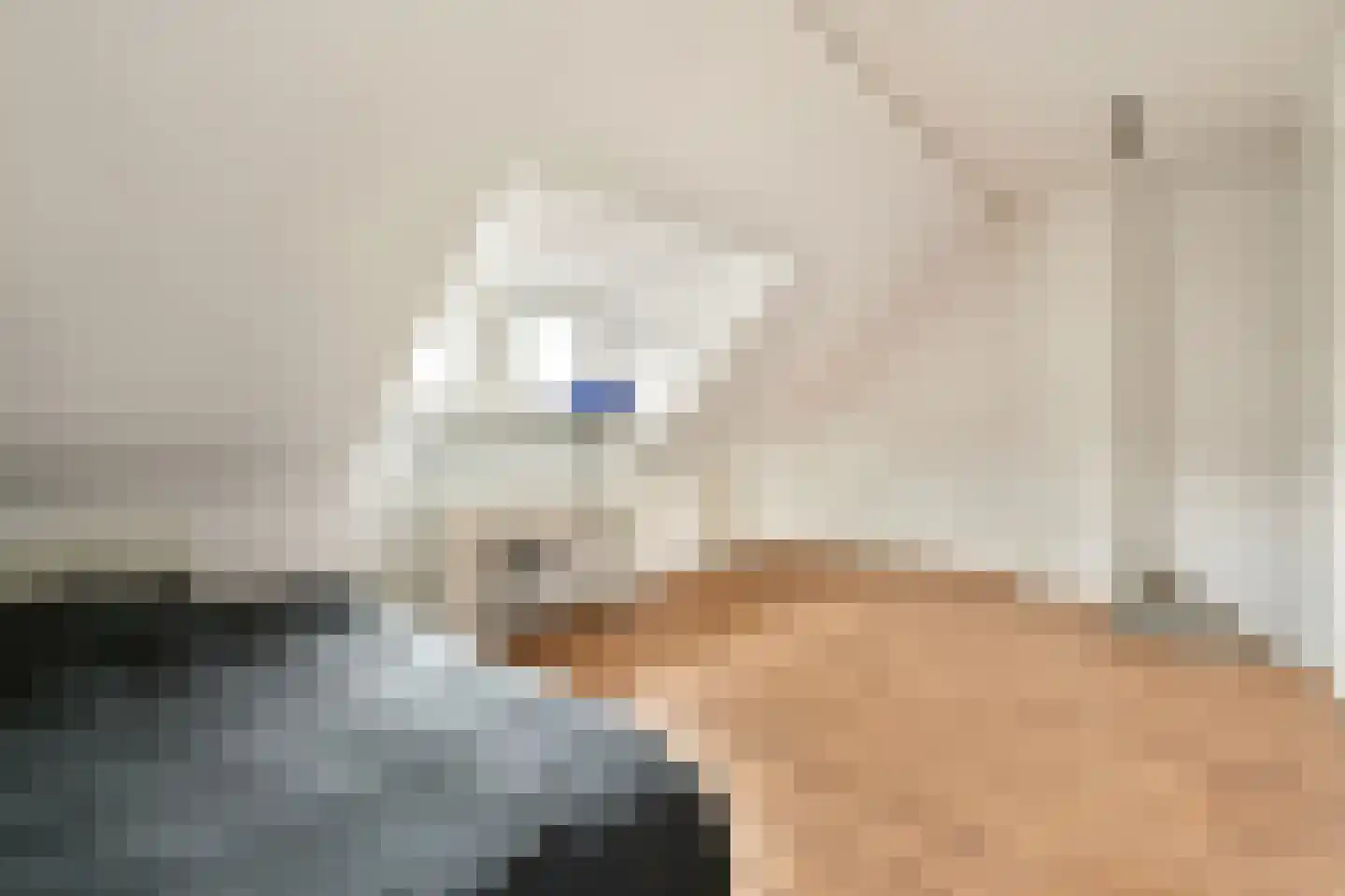 Bosboomlaan 20 A Schiedam thumbnail 18
