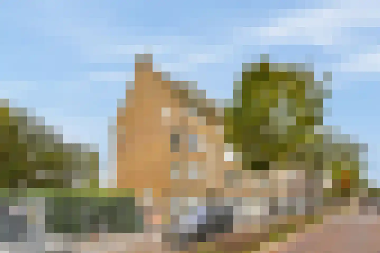 Bosboomlaan 20 A Schiedam thumbnail 20
