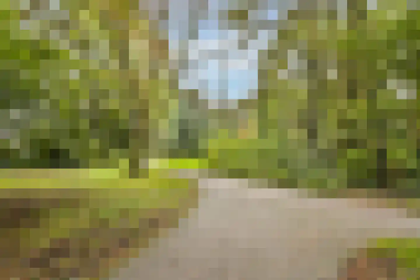 Bosboomlaan 20 A Schiedam thumbnail 22