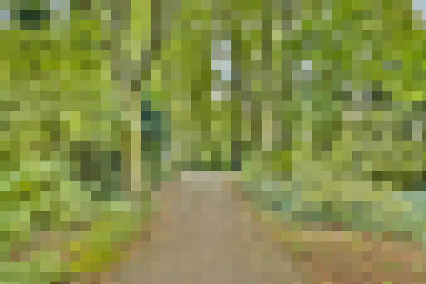 Bosboomlaan 20 A Schiedam thumbnail 23