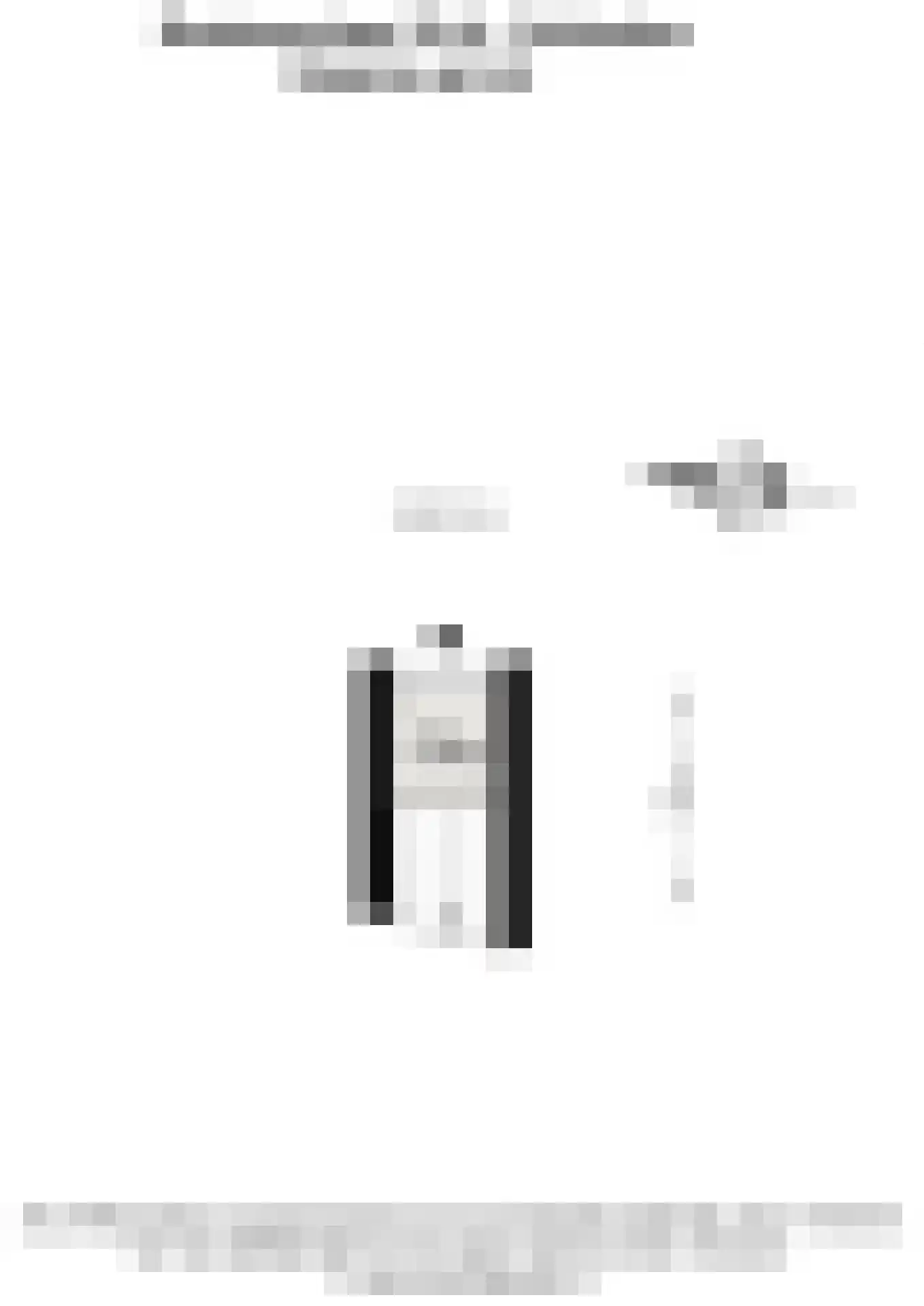 Bosboomlaan 20 A Schiedam thumbnail 24