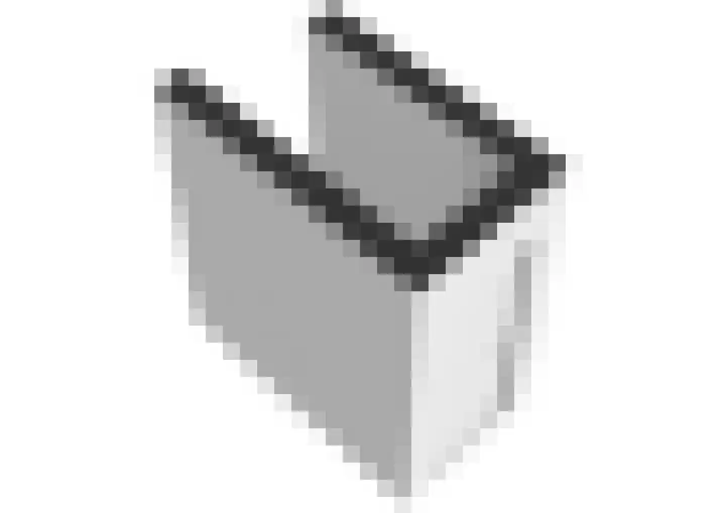 Bosboomlaan 20 A Schiedam thumbnail 25