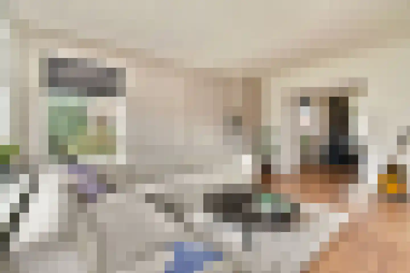 Bosboomlaan 20 A Schiedam thumbnail 7