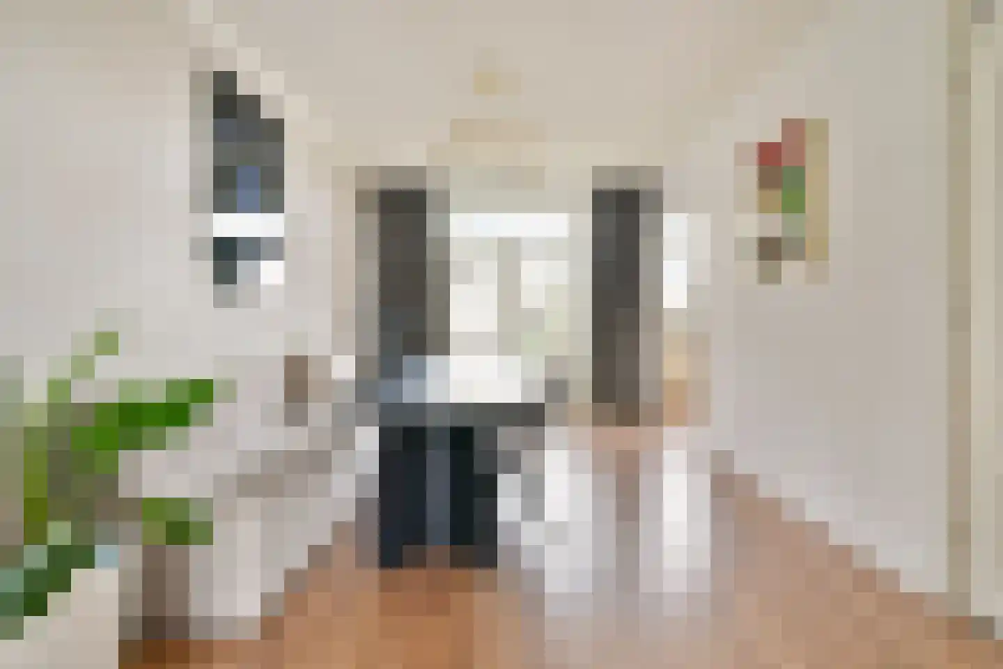 Bosboomlaan 20 A Schiedam thumbnail 8