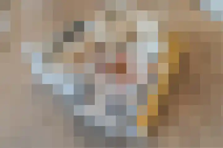 Bosboompad 13 Rosmalen thumbnail 24