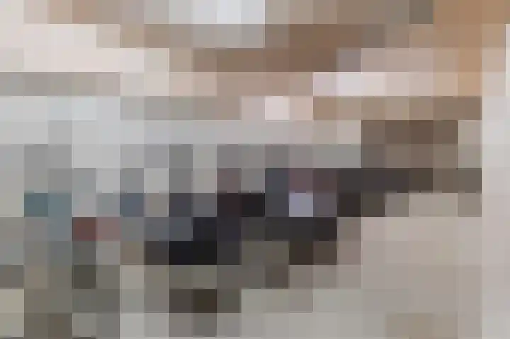 Bosboompad 13 Rosmalen thumbnail 28
