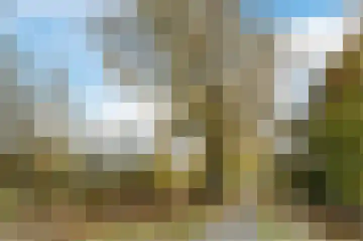 Bosboompad 13 Rosmalen thumbnail 32