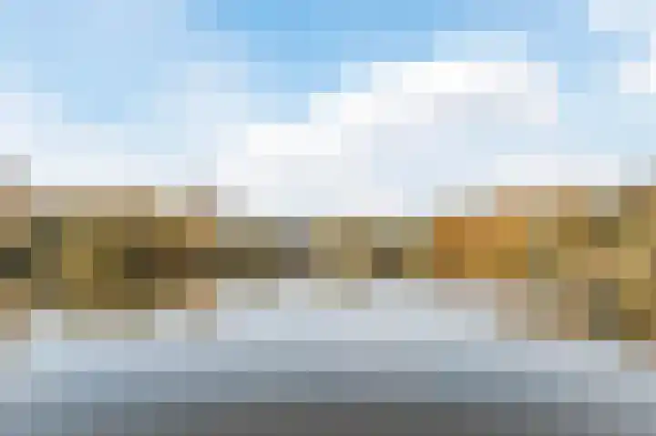 Bosboompad 13 Rosmalen thumbnail 34