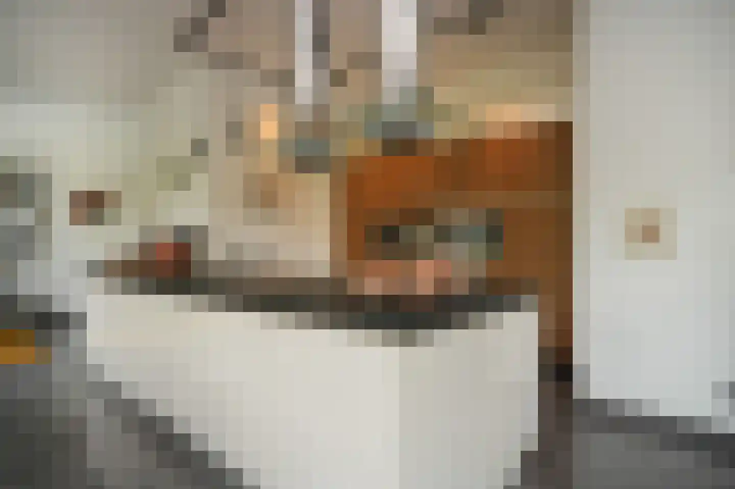 Bosboompad 15 Rosmalen thumbnail 12