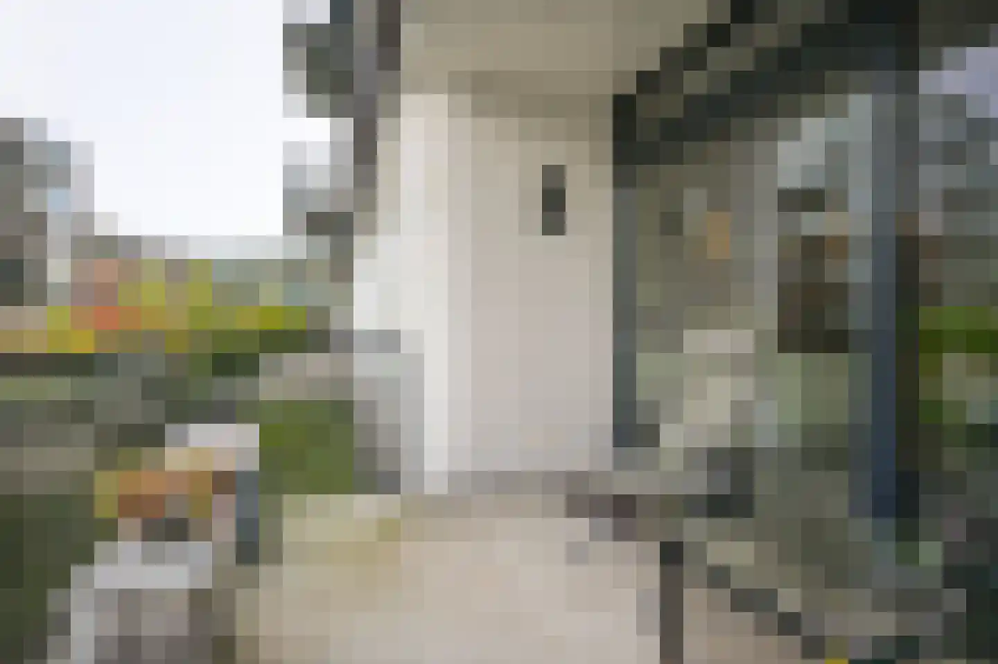Bosboompad 15 Rosmalen thumbnail 17