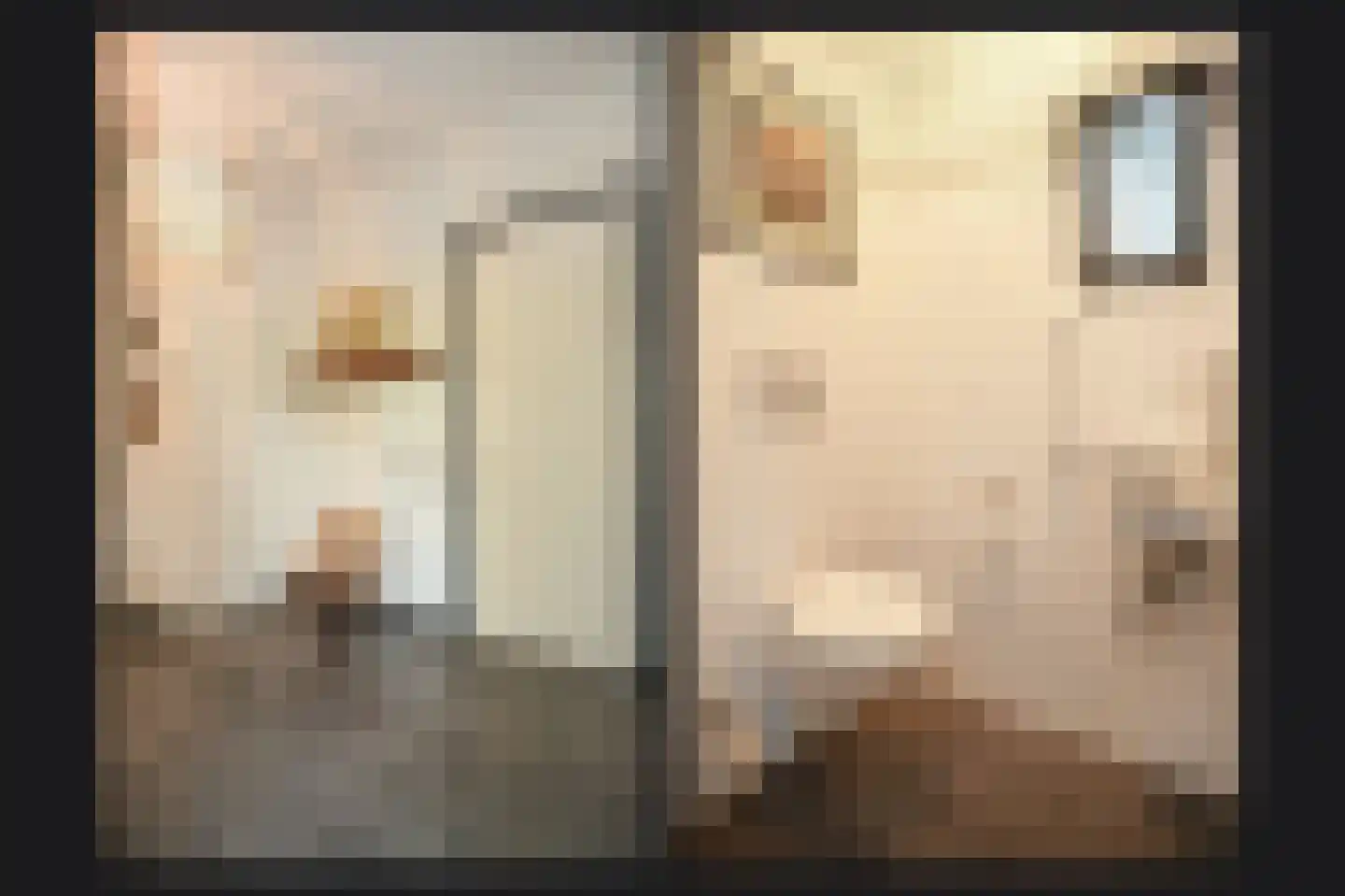 Bosboompad 15 Rosmalen thumbnail 28