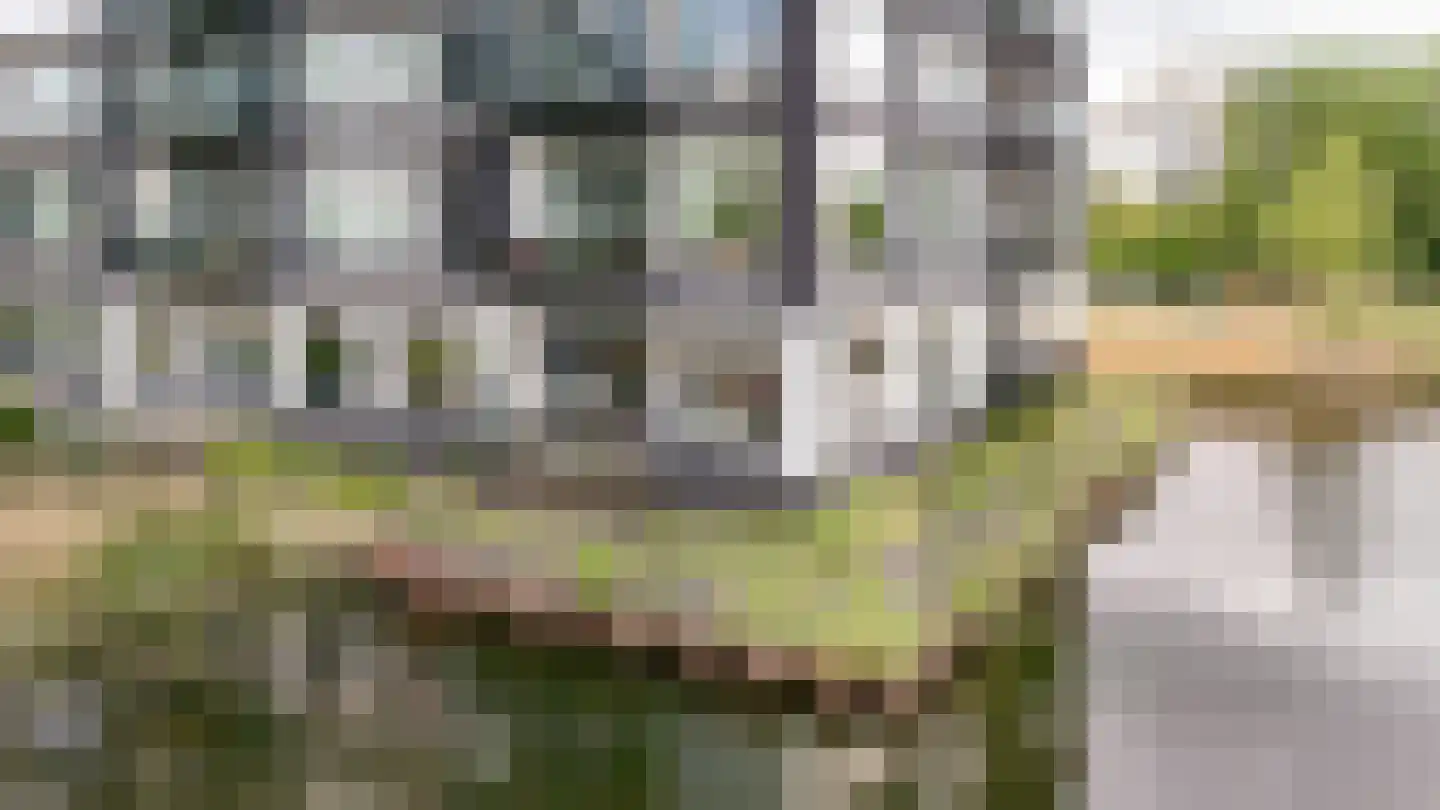 Bosboompad 15 Rosmalen thumbnail 36