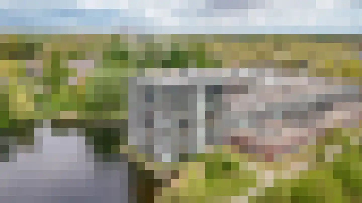 Bosboompad 15 Rosmalen thumbnail 38