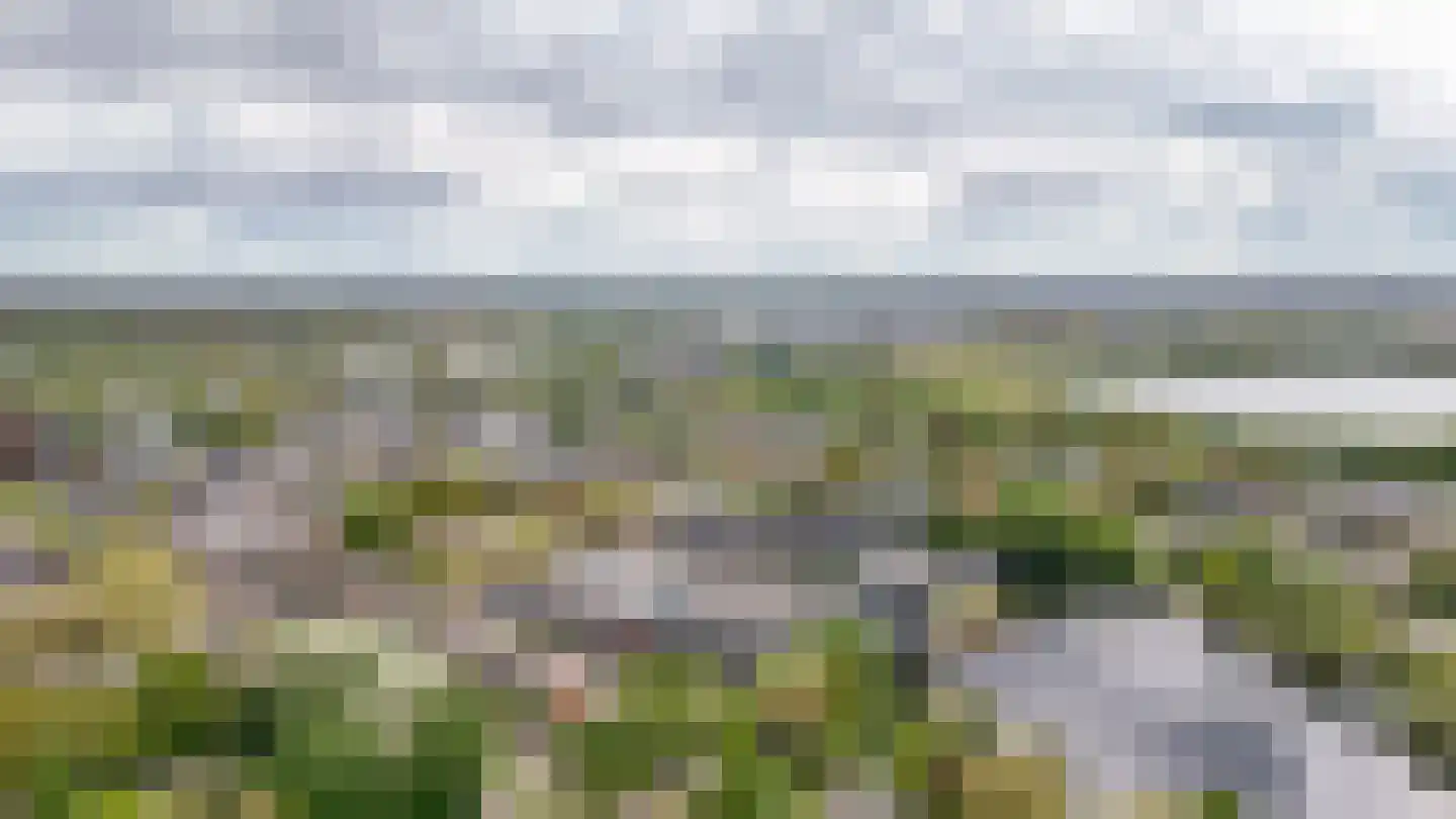 Bosboompad 15 Rosmalen thumbnail 39