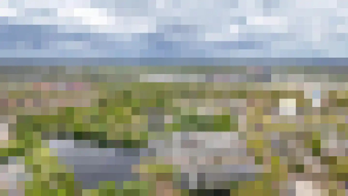 Bosboompad 15 Rosmalen thumbnail 41