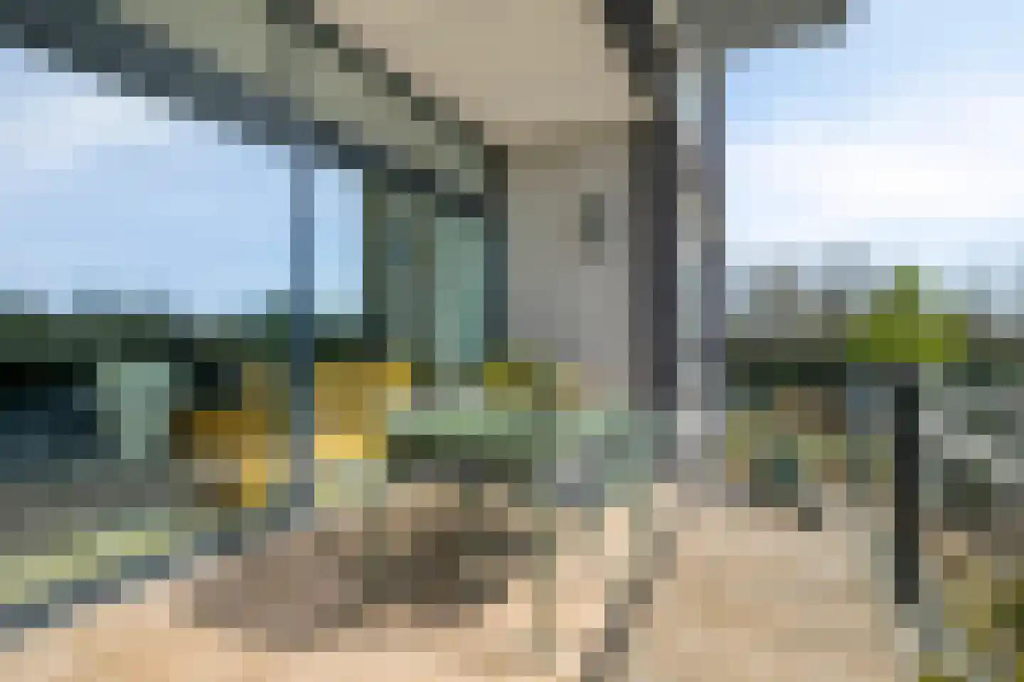 Bosboompad 21 Rosmalen thumbnail 16