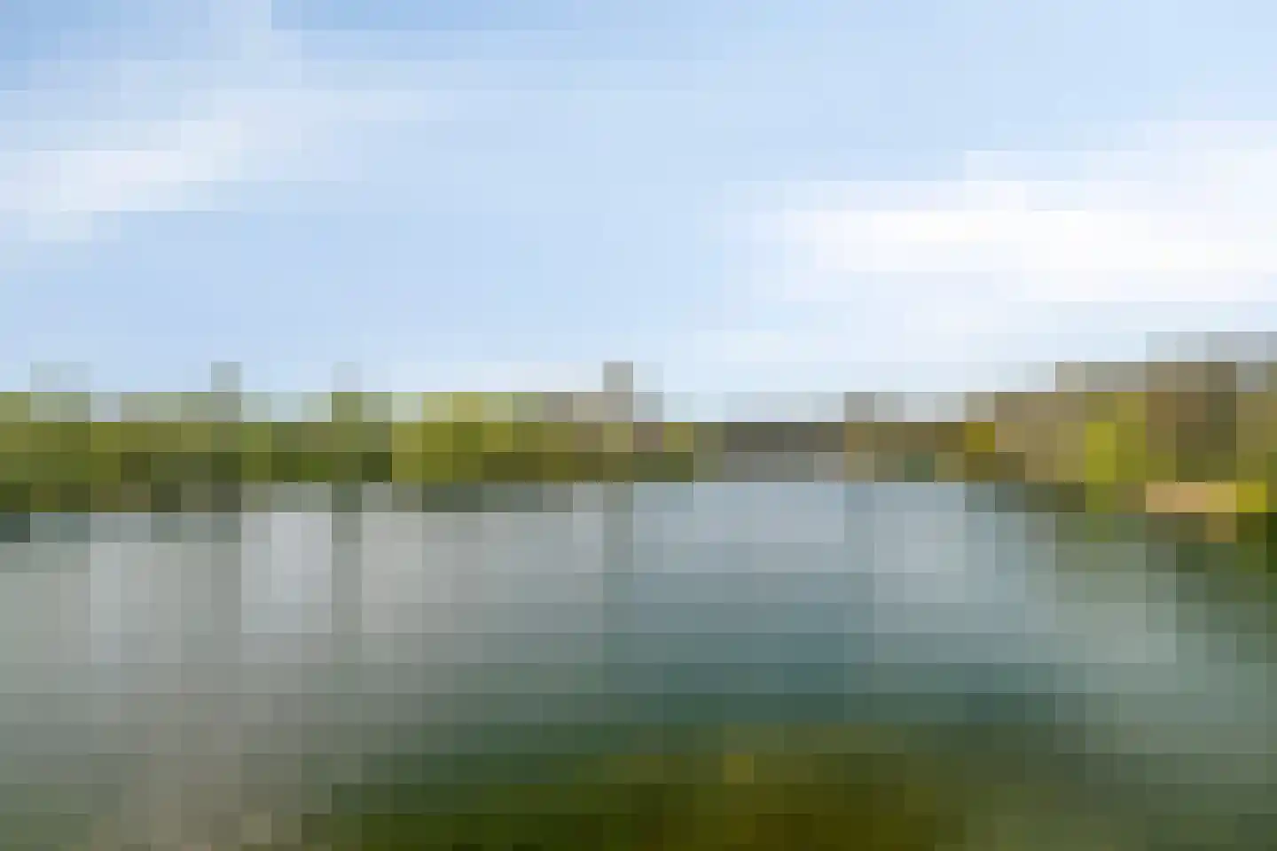 Bosboompad 21 Rosmalen thumbnail 17