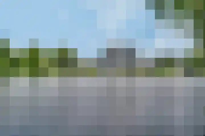 Bosboompad 27 Rosmalen thumbnail 24